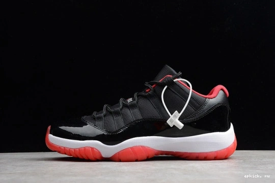 Rep EP 528895-012 Retro 528895-012 Low Bred 11 Jordan  0422